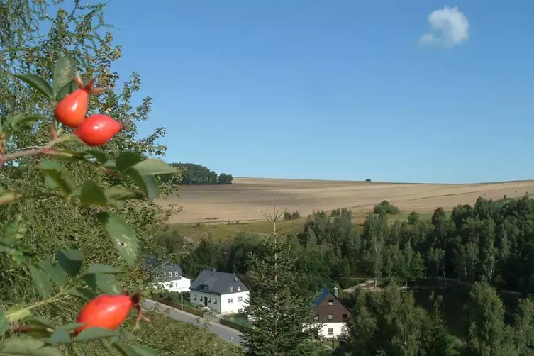 CVJM-Huthaus CVJM Schneeberg-Neustädtel e.V.