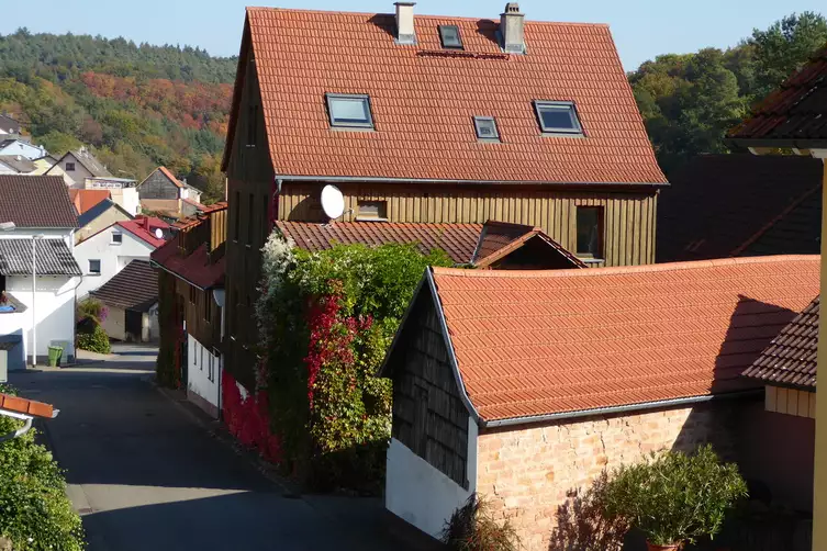 Der Apfelbaum - Seminar-Hof Alte Wurzeln - Neues Leben