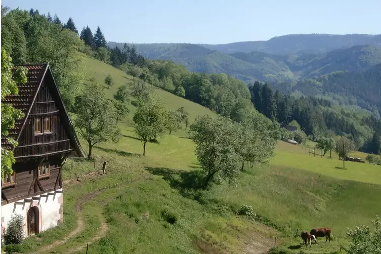 Bernhardushof Familie Treyer