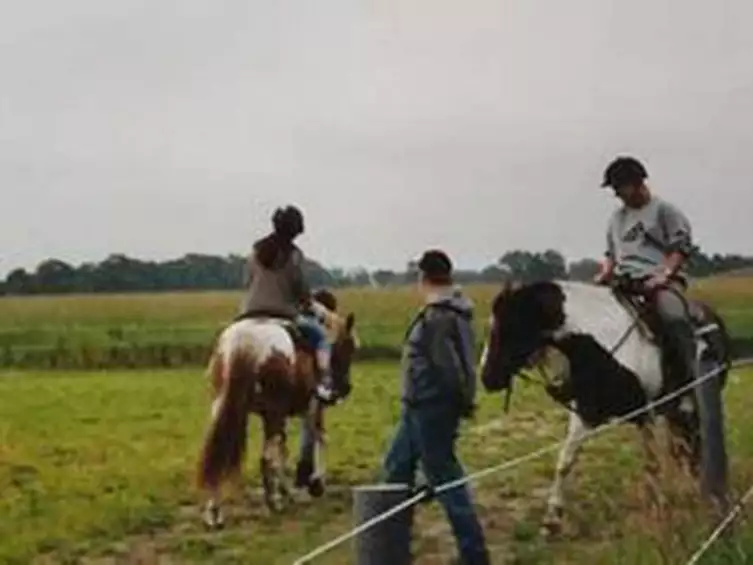 Lazy Horse Ranch Ferien- und Reiterhof Braune