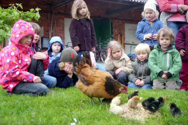 Schulbauernhof ANIMAL-FARM 