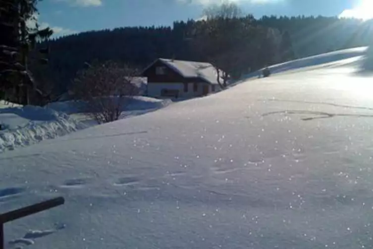 Moosybärhütte Postadresse: Europäisches Gästehaus