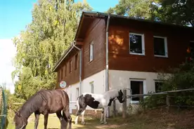 Hausansicht Thomsdorf "Sommerland" Boitzenburger Land