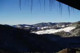 Jugendwaldheim