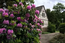 Jugendg�stehaus