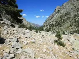 Jugendwaldheim