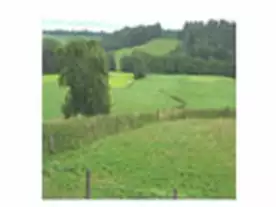 Besonderes und Schiffe