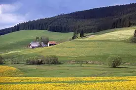 Schullandheim