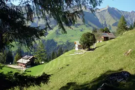 Hausansicht Achseten Adelboden Ferienheime Achseten