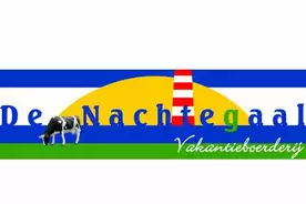 keine Auswahl