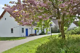 Bungalow / Campingplätze
