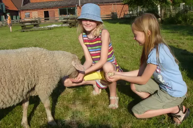 ANIMAL FARM - Naturpädagogischer Schulbauernhof | gruppenhaus.de