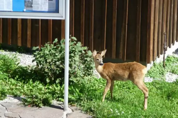 Schloss Aspenstein gruppenhaus.de