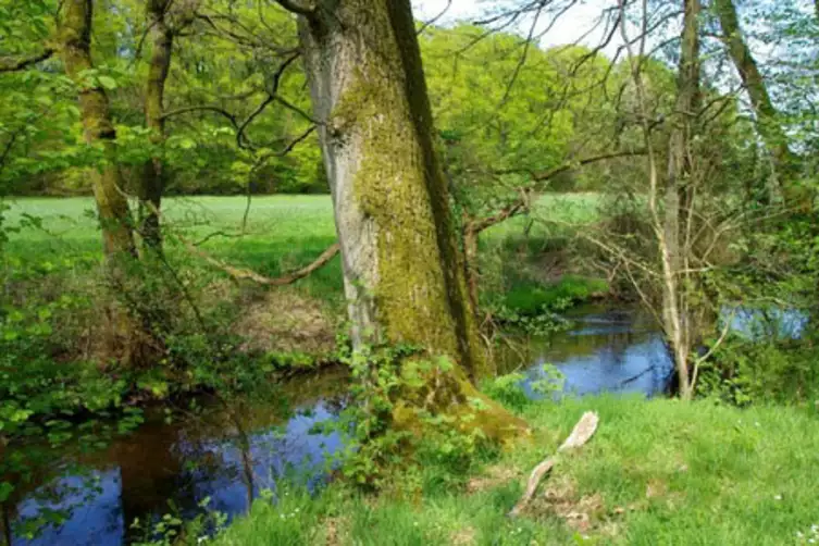 NaturCampus Bockum gruppenhaus.de
