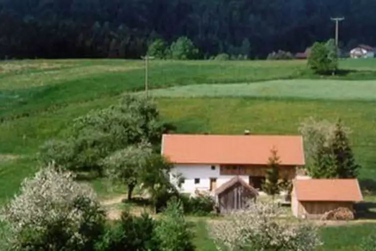 Ferienhaus Dreiburgenland gruppenhaus.de