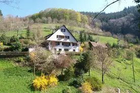 Hausansicht Ferienhaus Hof Busems Bad Peterstal-Griesbach