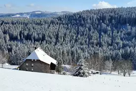 Hausansicht Rinken9 Hinterzarten