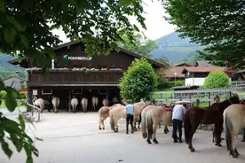 Hausansicht Ponyreithof St. Margarethen Brannenburg